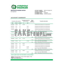 Iraq Islamic Bank For Investment & Development fake bank statement Excel and PDF template