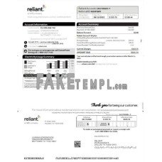 USA Reliant fake utility bill Word and PDF template