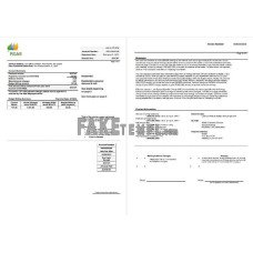 USA RG&E fake utility bill Word and PDF template (5 pages)