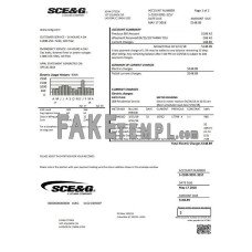 USA South Carolina SCE&G fake electricity utility bill Word and PDF template