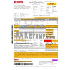 India BSES fake electricity utility bill Word and PDF template