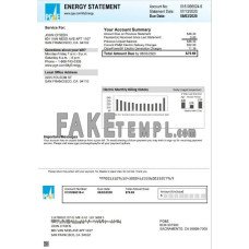 USA California PG&E fake electricity utility bill Word and PDF template