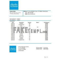 USA Charles Schwab & Co fake bank statement Excel and PDF template