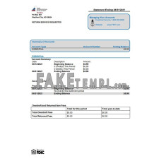 USA First International Bank & Trust fake bank statement Word and PDF template