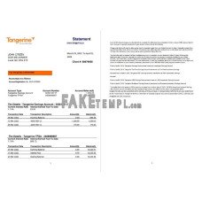 CANADA TANGERINE fake bank statement Word and PDF template