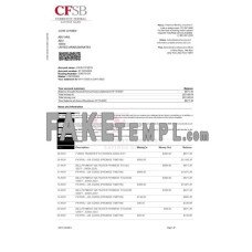 USA CFSB fake bank statement Word and PDF template