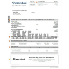 USA EASTERN fake bank statement Word and PDF template