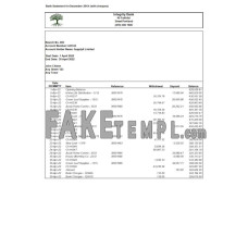 USA Integrity fake bank statement Word and PDF template