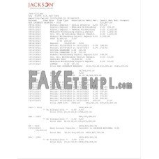 USA Jackson National fake bank statement Word and PDF template, 2 pages