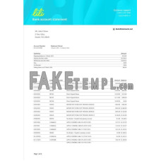 USA LILI fake bank statement Word and PDF template