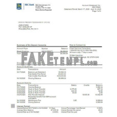 USA RBC fake bank statement Word and PDF template, version 2