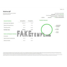 USA ROBIHOOD fake bank statement Word and PDF template