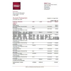 USA BB&T Corp. fake bank statement Excel and PDF template