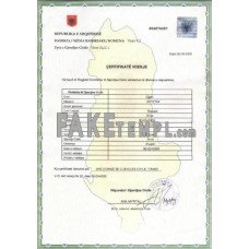 Albania fake death certificate photoshop template PSD 