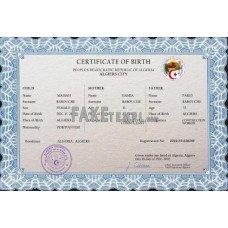 Algeria fake vital record birth certificate photoshop template PSD 