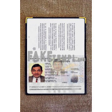 Argentina fake passport photolook template PSD, scan and photo-realistic look