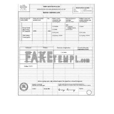 Australia New South Wales fake birth certificate Word and PDF template, version 1