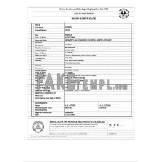 Australia South Australia fake birth certificate Word and PDF template, version 2