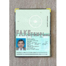 Azerbaijan fake passport photolook template PSD, scan and photo-realistic look 2