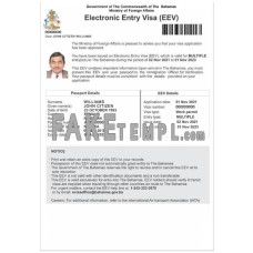 Bahamas fake e-visa Word and PDF template