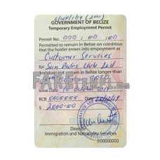 Belize fake work visa photoshop template PSD