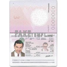 Bahrain fake standard passport photoshop template PSD