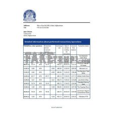 Afghanistan Da Afghanistan fake bank statement Excel and PDF template