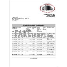 Albania Bank of Albania fake bank statement Word and PDF template