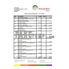 Albania ProCredit fake bank statement Excel and PDF template