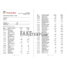 Albania ProCredit fake bank statement Word and PDF template, 3 pages