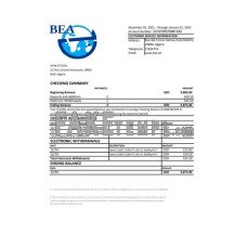 Algeria Banque extérieure d'Algérie fake bank statement Excel and PDF template