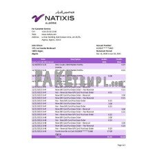 Algeria Natixis Algerie fake bank statement Excel and PDF template