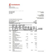 Australia Scotiabank fake bank statement Excel and PDF template, 2 pages