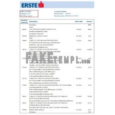 Austria Erste Group fake bank statement Excel and PDF template