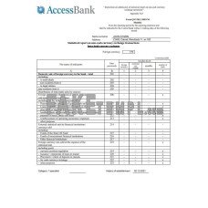 Azerbaijan Access Bank (English language) fake statement Word and PDF template