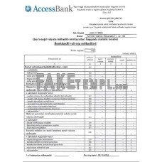 Azerbaijan Access fake bank statement photoshop template PSD