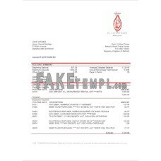 Bahrain Al Salam fake bank statement Word and PDF template