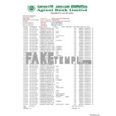 Bangladesh Agrani fake bank statement Word and PDF template