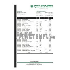 Bangladesh Agrani fake bank statement Excel and PDF template