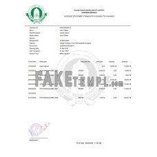 Bangladesh Islami fake bank statement Word and PDF template