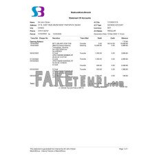 Bangladesh SB fake bank statement Word and PDF template