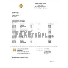 Bangladesh Sonali fake bank statement Word and PDF template