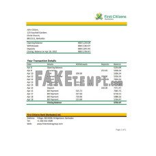 Barbados First Citizens fake bank statement Excel and PDF template