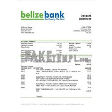 Belize Belizebank fake bank statement Word and PDF template