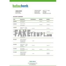 Belize fake bank statement Word and PDF template