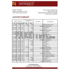 Bhutan Druk PNB fake bank statement Word and PDF template