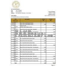 Bolivia Banco Central de Bolivia fake bank statement Excel and PDF template