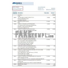 Bosnia and Herzegovina ASA Banka fake bank statement Excel and PDF template