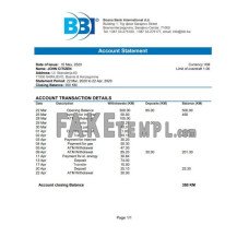 Bosnia and Herzegovina Bosna Bank International fake bank statement Word and PDF template