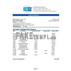 Bosnia and Herzegovina Bosna Bank International fake bank statement Excel and PDF template